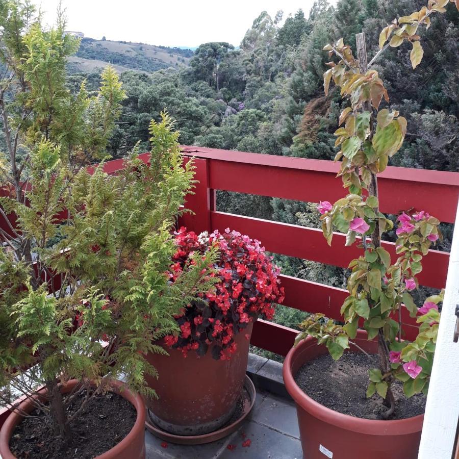 Cobertura Luxuosa De 250 M2 A 3Kms Do Centrinho Vista Espetacular Appartement Campos do Jordão Buitenkant foto